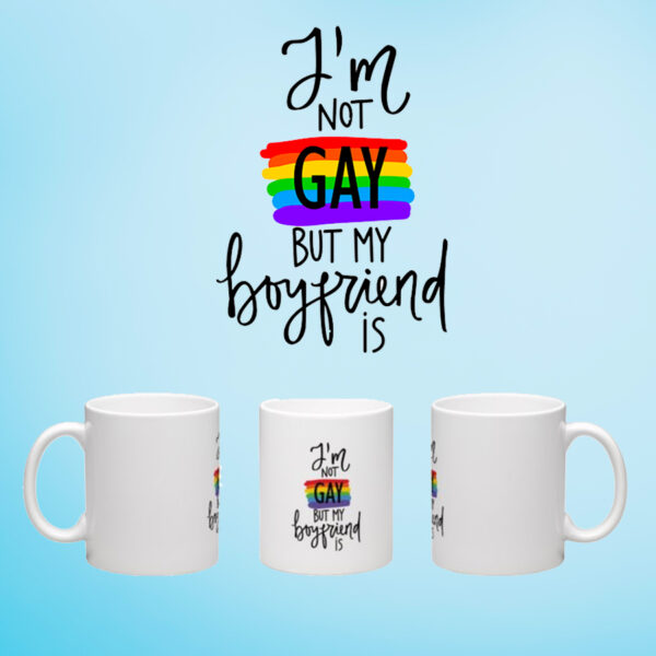 i-m-not-gay mug gay